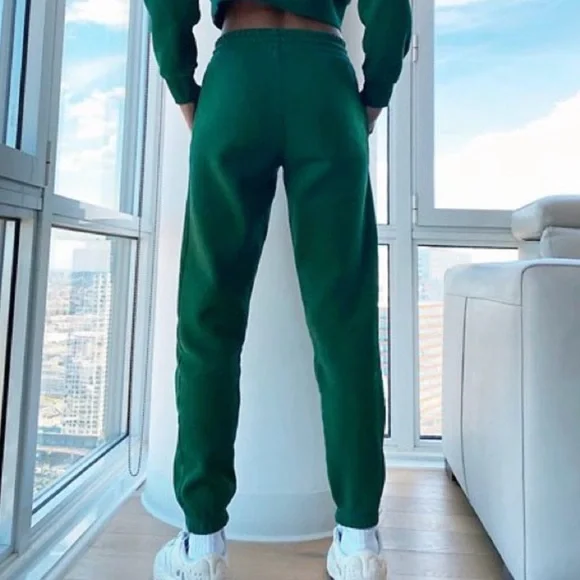 Aritzia TNA Cozy Fleece Boyfriend Fit Sweatpant in Kelp Green, Sz S - Picture 2 of 16